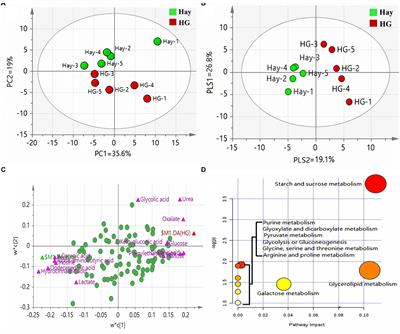 A Combined Metabolomic and Proteomic Study Revealed the Difference in Metabolite and Protein Expression Profiles in Ruminal Tissue From Goats Fed Hay or High-Grain Diets